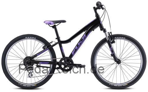 Fuji Dynamite 24 Comp technische daten 
